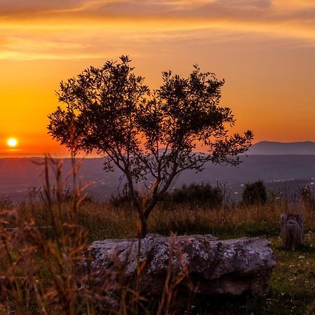 Chamaloni Cottages فينيكونتا المظهر الخارجي الصورة