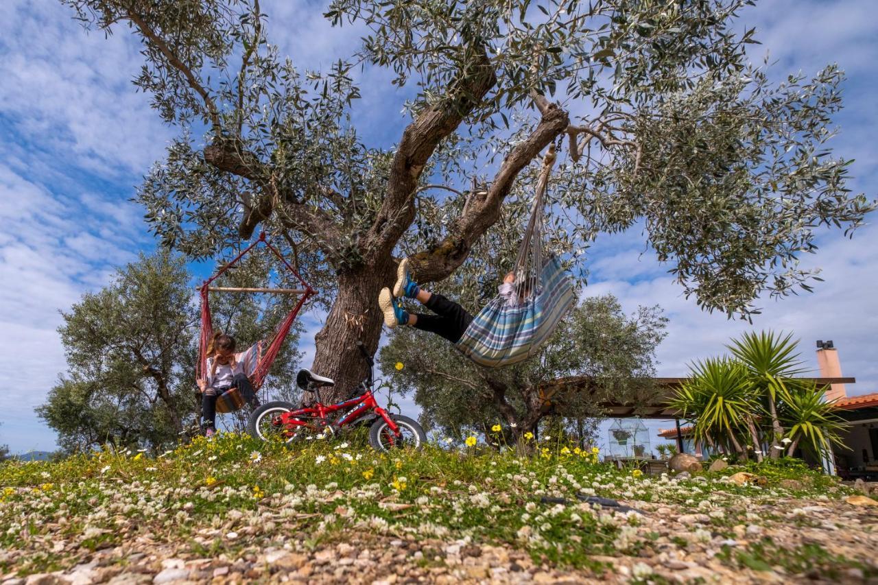 Chamaloni Cottages فينيكونتا المظهر الخارجي الصورة
